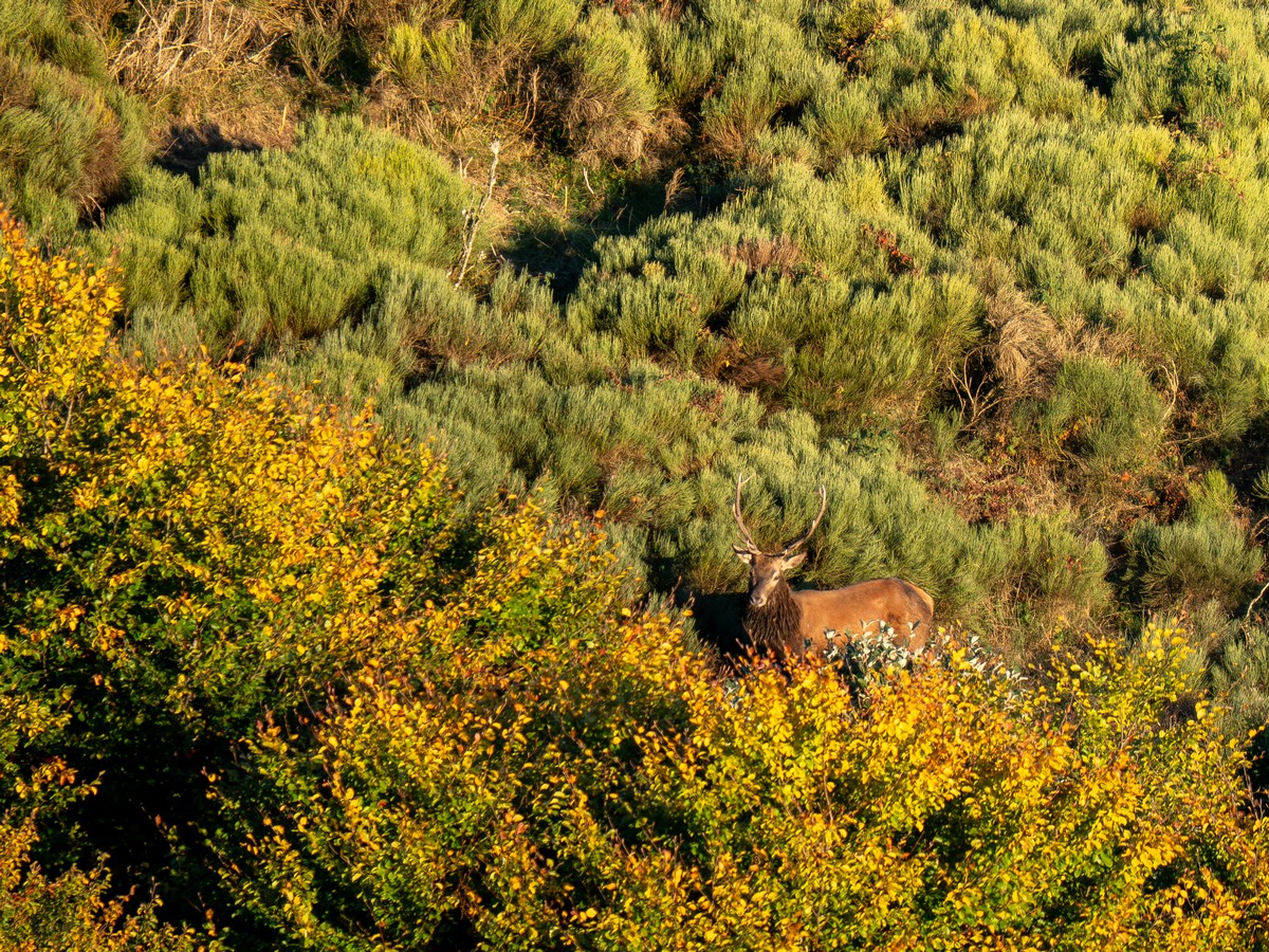 07102025-07 10 25 (3).jpg